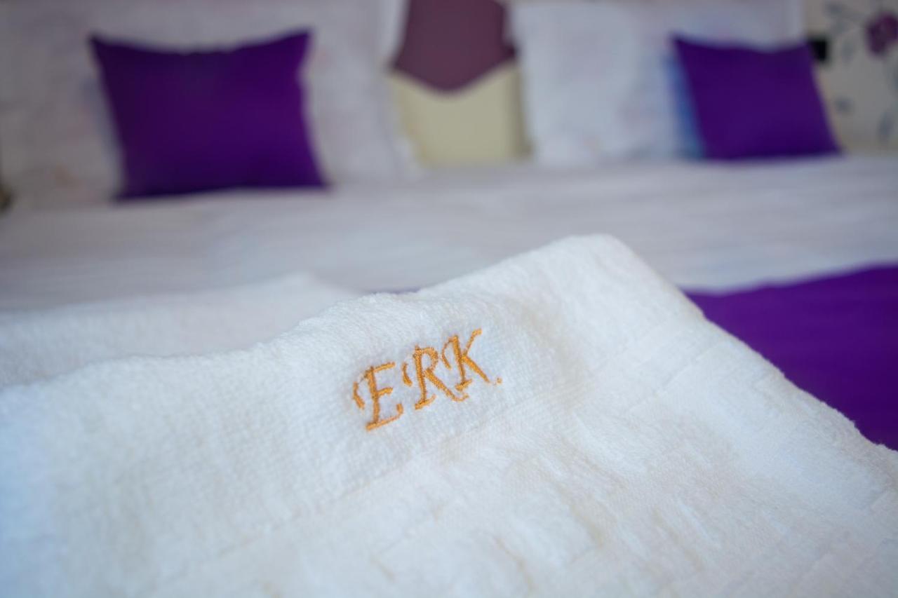 Bed and Breakfast Casa Erk à Călimăneşti Extérieur photo